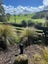 583 Kopuku Road, Maramarua Forest, Te Kauwhata - Carousel 41