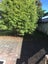 66E Moana Avenue, One Tree Hill, Auckland - Carousel 12