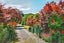 477 State Highway 41, Manunui, Taumarunui - Carousel 21