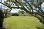 2033 State Highway 2, TAUWHARENIKAU, GREYTOWN - Carousel 2