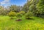 1403 Coatesville-Riverhead Highway, Kumeu - Carousel 8