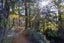 7 Mead Lane, Horopito, Raetihi - Carousel 8