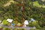 44 Tawini Road, Titirangi, Auckland - Carousel 1