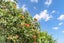 1829 Whangarei Heads Road, Whangarei Heads, Whangarei Heads - Carousel 26