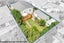 22 Mariri Road, Onehunga, Auckland - Carousel 14