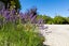 11 Ewing Place, Albert Town, Wanaka - Carousel 27