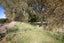 109 Marshalls Road, Springston, Christchurch - Carousel 48