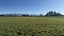 250 South Road, Solway, Masterton - Carousel 8