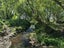 64 Matahiwi Road, Matahiwi - Carousel 4