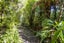 59 Pihanga Road, KURATAU, TURANGI - Carousel 27