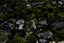 11 Brockhall Lane, Avonhead, Christchurch - Carousel 27