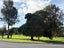 97 Coxhead Road, Manurewa, Auckland - Carousel 11