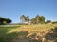 28 Kowhai Drive, Kuratau, Turangi - Carousel 8
