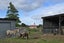 102 Putiki Drive, Putiki, Whanganui - Carousel 19