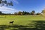 0 Pardoa Boulevard, Chartwell, Hamilton - Carousel 8
