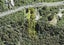 276 Scenic Drive, Titirangi, Auckland - Carousel 7
