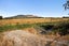 453 Whiterig Road, Knapdale, Gore - Carousel 12