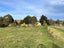 870 Lawrence Waitahuna Highway, Waitahuna, Lawrence - Carousel 8