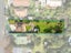 17 Bollard Avenue, New Windsor, Auckland - Carousel 2