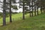 69 Matakohe Wharf Road, Matakohe, Matakohe - Carousel 45