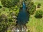 79 McCaughan Road, Kerikeri, Kerikeri - Carousel 3