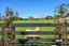 546 Belvedere Road, Carterton - Carousel 43