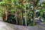 323 Glenfield Road, Glenfield, Auckland - Carousel 5