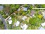 48 Derwent Crescent, Titirangi, Auckland - Carousel 3