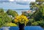 60 Palmerston Road, Birkenhead, North Shore City, Auckland - Carousel 37