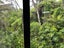 52 Sunnyhaven Avenue, Beach Haven, Auckland - Carousel 20