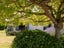 6 Orchard Drive, Alexandra, Alexandra - Carousel 27