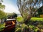 12 View Road, Houghton Bay, Wellington - Carousel 12