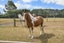 90 Neave Road, Christchurch - Carousel 42