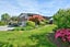 37 Station Road, Tapanui, Tapanui - Carousel 47