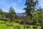 103 Sladdens Bush Road, Coopers Creek, Oxford - Carousel 29