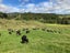 755 Limeworks Loop Road, Karamu, Hamilton - Carousel 9