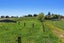 414 Matahi Road, Rotomā, Whakatāne - Carousel 24
