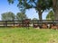 9 Kernott Road, Horotiu - Carousel 27