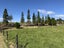 71 Sulenta Loop Road, Waipapakauri, Awanui - Carousel 22