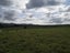 63 Hinamoki Drive, Kaiwaka - Carousel 7