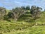 299 Peria Road, Peria, Kaitaia - Carousel 19