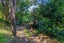 75 Victoria Road South, Onetangi, Waiheke Island - Carousel 3