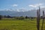 504 State Highway 1, Kaikoura - Carousel 45