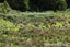 562 Waimata Valley Road, Waimata - Carousel 22