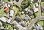 59 Cornwall Road, Papatoetoe, Auckland - Carousel 15