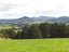 0 Tremain Road, Ruatangata West, Kamo - Carousel 25