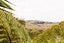 221 The Terrace, Ashhurst, Ashhurst - Carousel 31