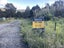 0 Horeke Road, Horeke, Okaihau - Carousel 15