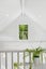 32 Alexander Street, Kingsland, Auckland - Carousel 14