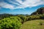 34A Otamarua Road, Russell - Carousel 32